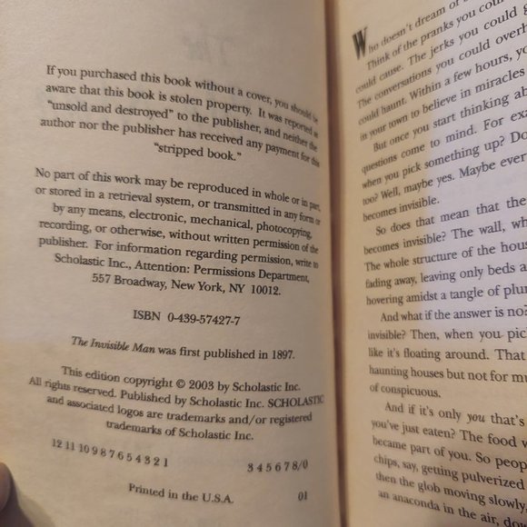 Invisible Man - Picture 2 of 4
